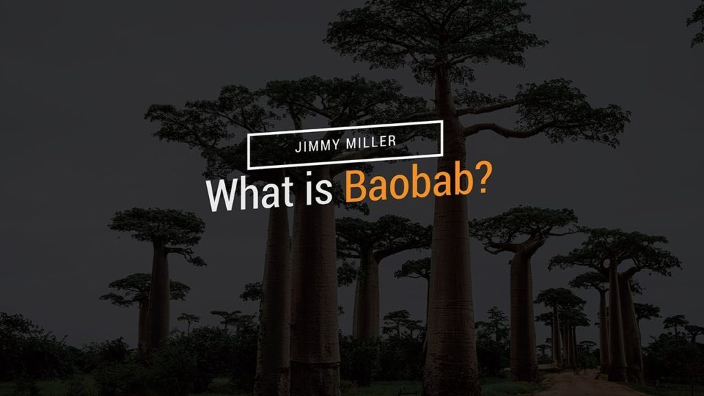 What is Baobab?